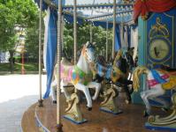 Imagine atasata: IMG_5447.jpg